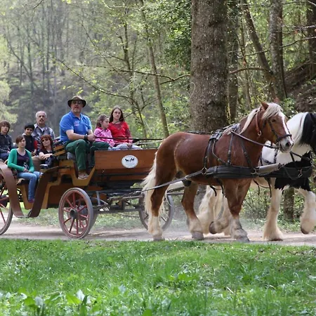 Erlebnisgastronomie Lochmuhle 3* Eigeltingen