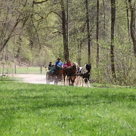 Erlebnisgastronomie Lochmuhle Eigeltingen