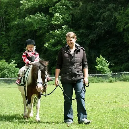 Erlebnisgastronomie Lochmuhle Ξενοδοχείο Eigeltingen