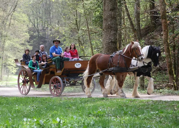 Erlebnisgastronomie Lochmuhle 3* Eigeltingen