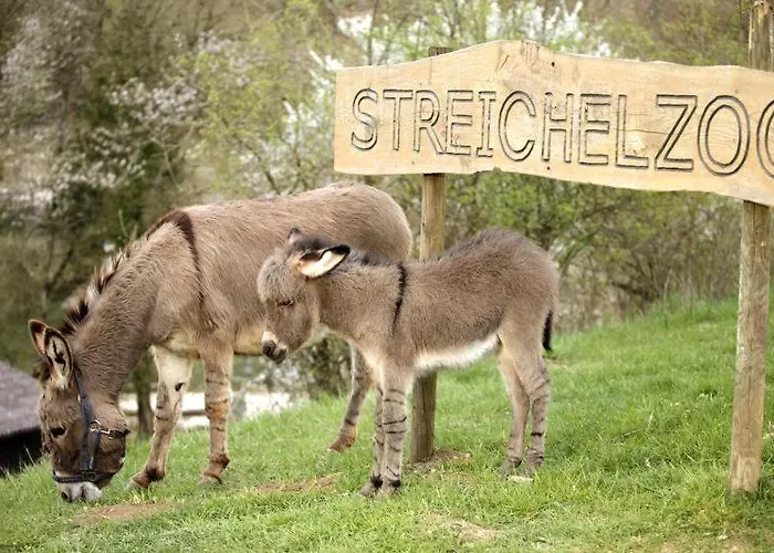 Erlebnisgastronomie Lochmuhle