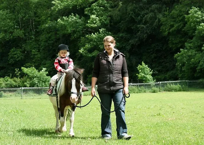 Erlebnisgastronomie Lochmuhle فندق Eigeltingen